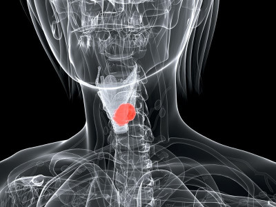 health tips the butterfly effect health tips the butterfly effect