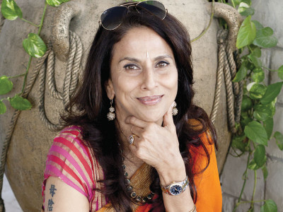 a cat called shohbaa