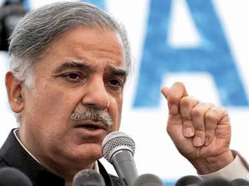 pml n will replace gang of thieves in next elections shahbaz sharif pml n will replace gang of thieves in next elections shahbaz sharif