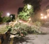 storm leaves boy dead five injured