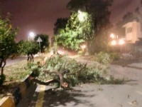 storm leaves boy dead five injured