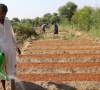 agriculture grows 2 89 despite devastating floods agriculture grows 2 89 despite devastating floods