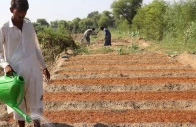 agriculture grows 2 89 despite devastating floods