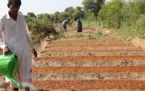 agriculture grows 2 89 despite devastating floods