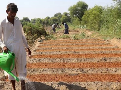 agriculture grows 2 89 despite devastating floods