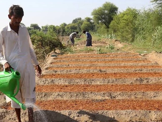 Agriculture grows 2.89% despite devastating floods