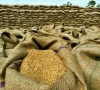 provinces backtrack on wheat import provinces backtrack on wheat import