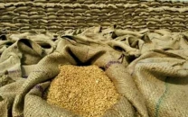 provinces backtrack on wheat import