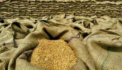 provinces backtrack on wheat import