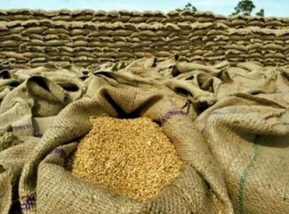provinces backtrack on wheat import
