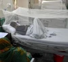 dengue cases surge across k p