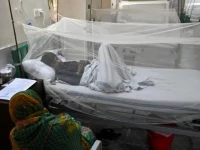 dengue cases surge across k p