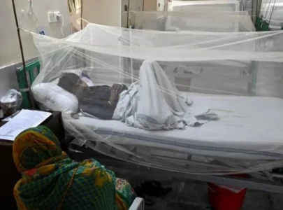 dengue cases surge across k p dengue cases surge across k p