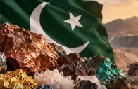 govt seeks us investment in minerals