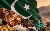 govt seeks us investment in minerals
