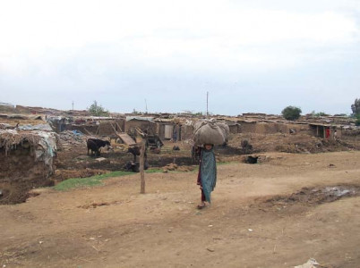 tolerance wanes as perceptions of afghan refugees change