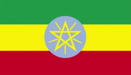 business forum in ethiopia woos investors