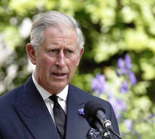 prince charles may work on tv show prince charles may work on tv show