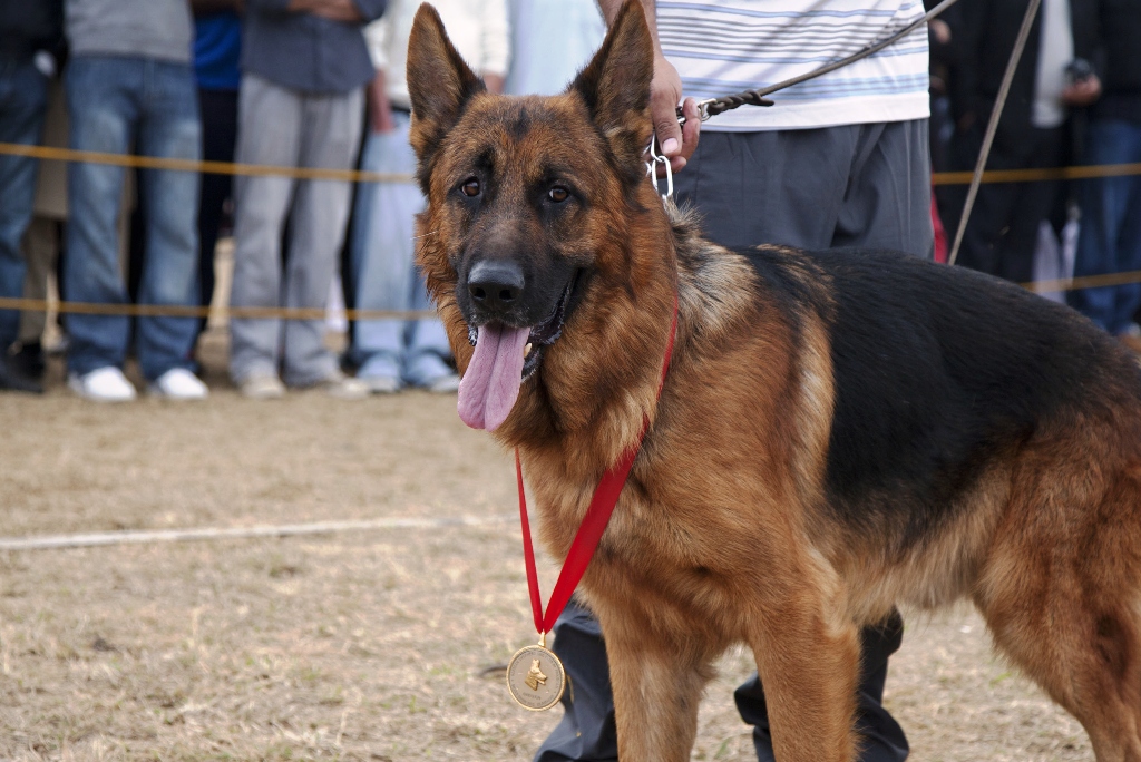 Updated Mar 05, 2012