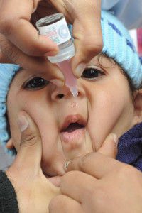 anti polio campaign 12 cases so far
