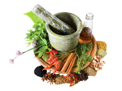 organic herb segment demands govt focus