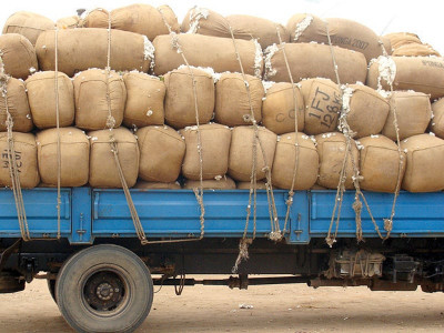 pakistan to profit from indian ban on cotton export pakistan to profit from indian ban on cotton export