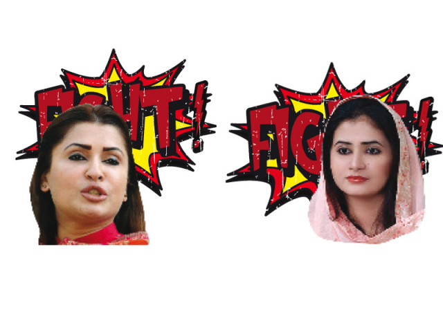 the backbencher the marri rashdi fight is a gift that keeps on giving