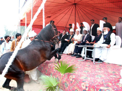 spring festival pak kenya ties will benefit agriculture