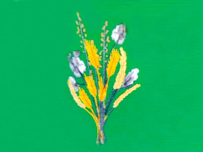 official delays new vehicle owners forced to pay fines