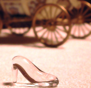 saving mother earth city school s cinderella to go on a world tour