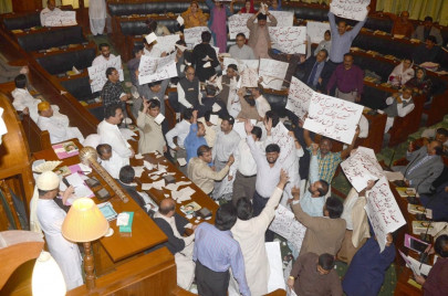 the backbencher whose assembly is it anyway