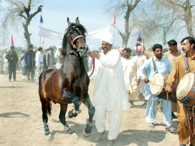 spring agriculture festival concludes with milk competition