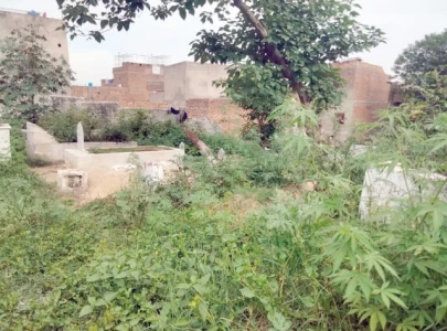 neglect turns graveyards into health hazard