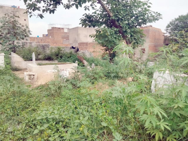 Rawalpindi graveyards raise health concerns – Pakistan Today  Pakistan Today