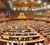 senate panel flags dasu discrepancies