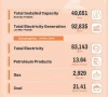 electricity capacity swells to 49 651 mw electricity capacity swells to 49 651 mw
