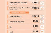 electricity capacity swells to 49 651 mw