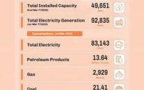 electricity capacity swells to 49 651 mw