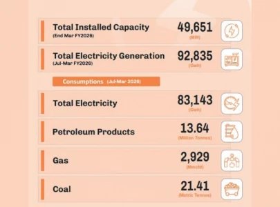 electricity capacity swells to 49 651 mw