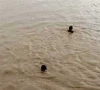 four children drown in changa manga forest pond four children drown in changa manga forest pond