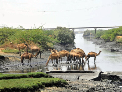 accounting watchdog plot owners have paid but lda mda yet to give ownership rights