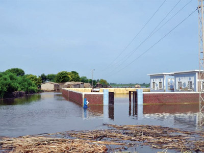 to protect and serve as badin sank its police were held hostage by duty to protect and serve as badin sank its police were held hostage by duty