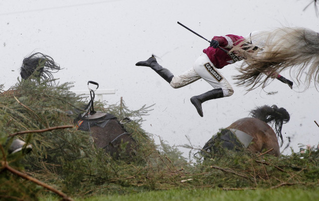 photo tom jenkins the guardian