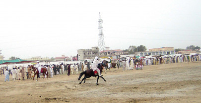 cultural festival after a three year hiatus horse and cattle show returns to di khan