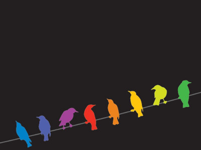 birds in flight flying to ma jinnah road for summer