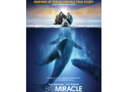 film review big miracle a whale of a tale film review big miracle a whale of a tale