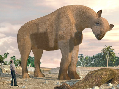 dera bugti operation largest mammal fossils may have been bombed into oblivion dera bugti operation largest mammal fossils may have been bombed into oblivion