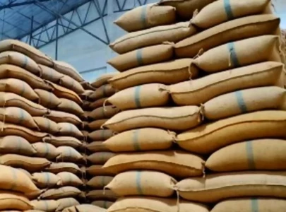 balochistan cracks down on missing wheat