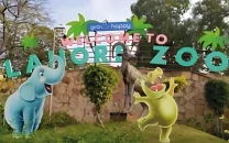 efforts underway to pair solitary animals at lahore zoo