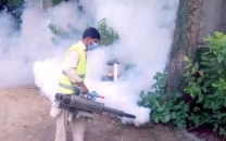 pindi ramps up fight against dengue